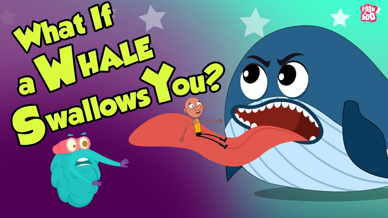 What If A Whale Swallows You? | Swallowed By A Whale | Dr Binocs Show | Peekaboo Kidz