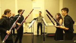 BACOUSTICS Promo Video 2016