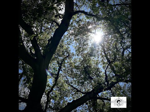 I've Just Seen Jesus- Freddie Perren (feat. Jerry & Serena)