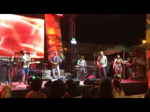 INESS en Palo en Vivo - Tradition of excellence