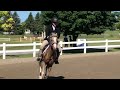 Golden Compass Wesley Clover Parks Children S Pony