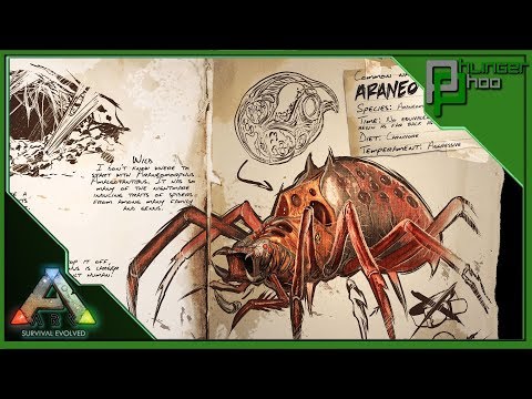 Ark Basics Araneo - EVERYTHING YOU NEED TO KNOW