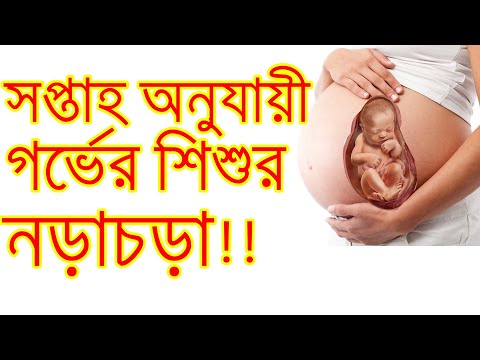 গর্ভের শিশুর নড়াচড়া কোন সপ্তাহে কেমন হয়।অর্থাৎ সপ্তাহ অনুযায়ী গর্ভের শিশুর নড়াচড়া।Baby Development