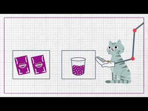 The Healthy Diet for a Happy Cat