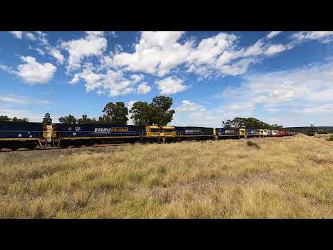 NR48, 53, 15, 49 & 39 at Gunningbland West.  Wed 09th Feb 2022