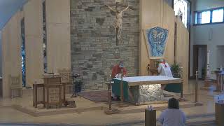 Thursday Morning Mass - 11/12/20