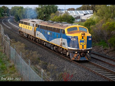 B80 and S317 at Golden Square on 0082 SSR loco transfer- 7/7/23