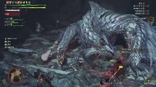 【モンハンワイルズ】英雄の証　ソロクリアに向けて準備と本番　2026/02/22【twitch live】