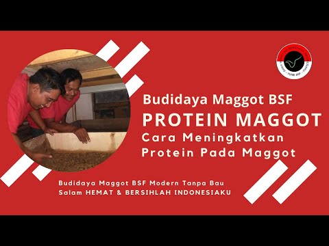 Suplemen diet untuk potensi herbal Di mana mereka membuat terbaik operasi pembesaran penis