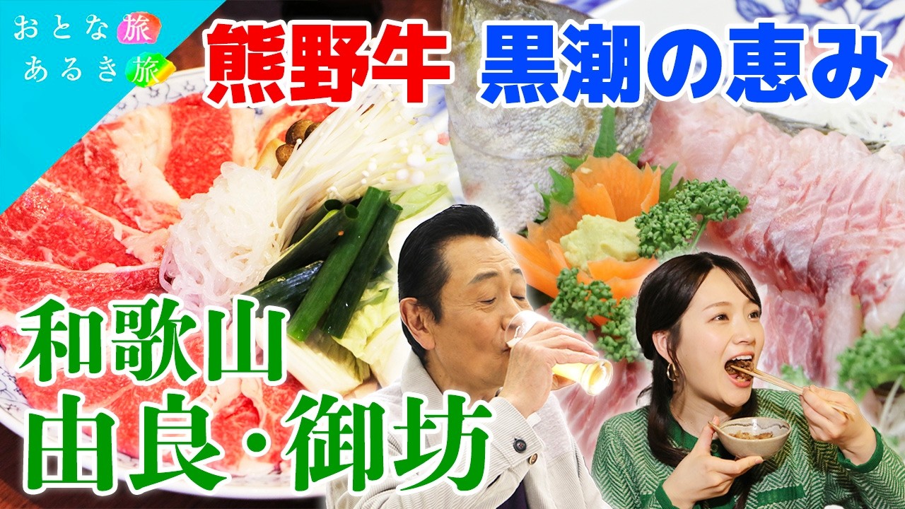 【春めく和歌山🌊由良・御坊】自然が織りなす海岸美×地元グルメ　神秘の絶景～朝どれ海鮮～伝統染め～熊野牛～せち焼き#おとな旅あるき旅    #traveljapan     #三田村邦彦 　#上原美穂