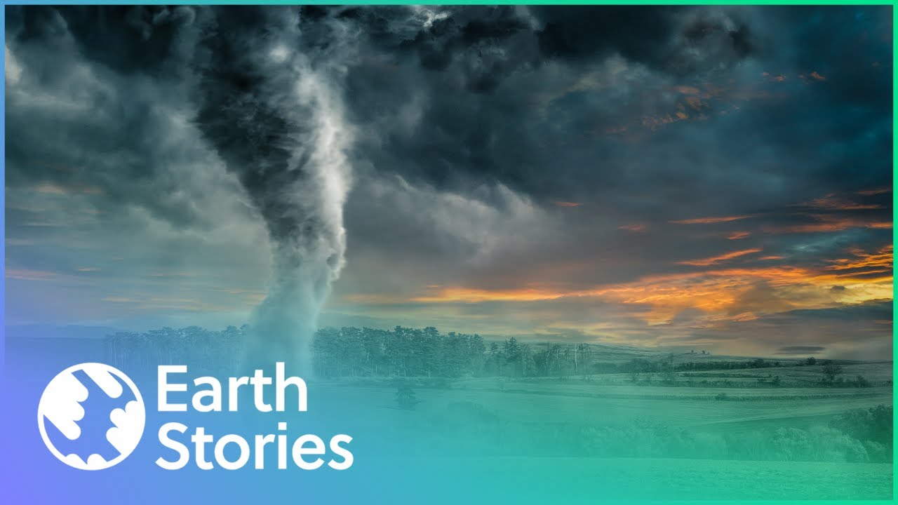 What Do Disasters Throughout History Tell Us? | History Retold Natural Disasters