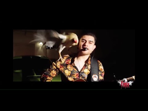 Danny Felix y Los De Finix - Sombrerito Panameño