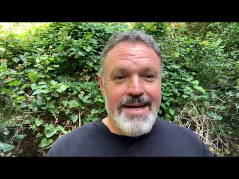 Spider bite & Scorpion sting first response website header