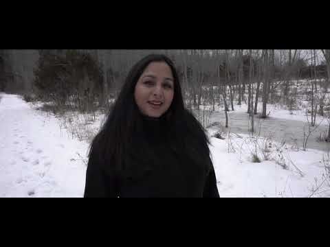 Bahon Ke Darmiyan - Kavita Sookhoo [Bollywood Remix 2022] (Ravi Sookhoo Music)