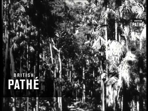 Mackay Queensland - Australia (1946)