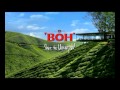 Boh Taste The Ummph TVC English