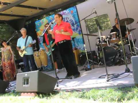 Count Five Psychotic Reaction - Longstock 2013