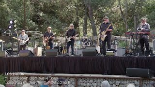 Los Lobos &quot;Flat Top Joint&quot; Live (Loma Vista Gardens)