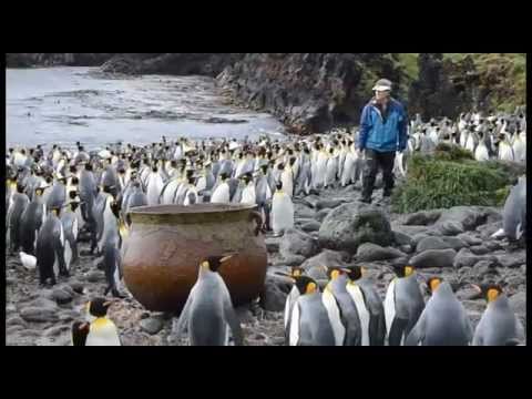 download lagu mp3 mp4 Marion Island, download lagu Marion Island gratis, unduh video klip Marion Island