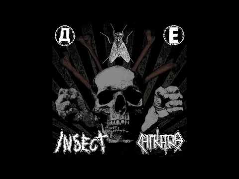 INSECT - Split w/ CHIKARA