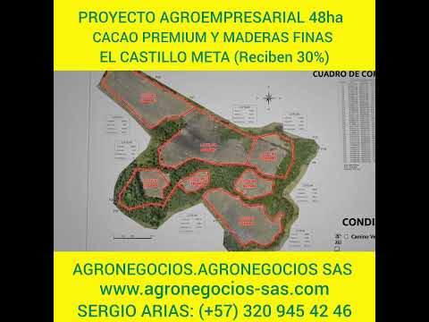 PROYECTO AGROEMPRESARIAL 48ha CACAO PREMIUM/MADERAS FINAS - EL CASTILLO META (Reciben 30%)