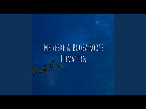Elevación (feat. Booba Roots)