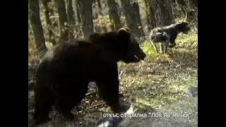 Лов на мечки 07