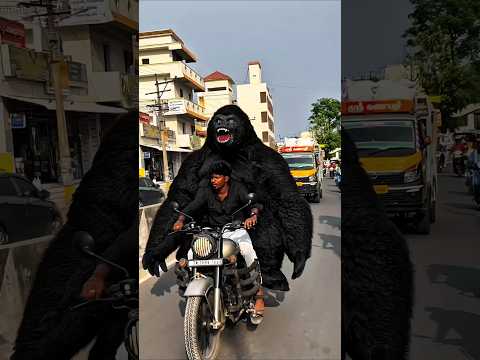 Gorilla On Bike Moments 😁😲 #mt15 #ytshorts #shorts #viralshorts