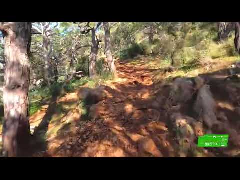 Earum eum nesciunt dignissimos iusto 1005396