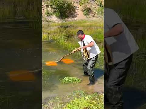 #carpfishing #fish #Outdoor #fishingtechniques #catchingfish #0289