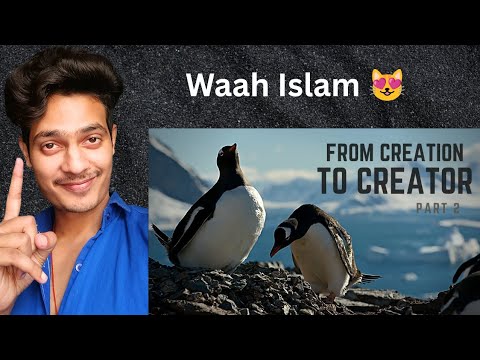 From CREATION To CREATOR (ALLAH) Reaction 😻 #allah #quran #engineermuhammadalimirza 