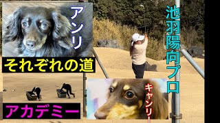 それぞれのSTART❗️【ジャンボ邸】わんちゃん・プロ・アカデミー生・・・