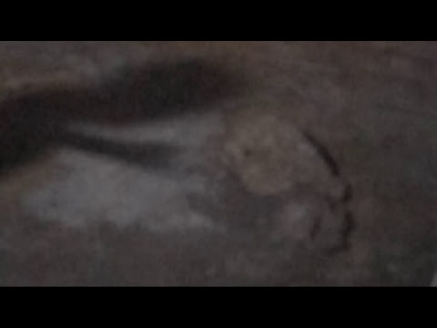 Sacred C and S Ògo Oluwa Annual Koseunti Mount Retreat