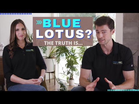 Grow TRUE Blue Lotus of the Nile, the Caerulea Lily. Don't be fooled! We explain! Sacred blue flower