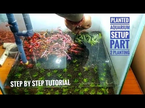 PLANTED AQUARIUM SETUP (PART 2) - PLANTING || AQUASCAPING TUTORIAL || NANO PLANTED AQUARIUM SETUP