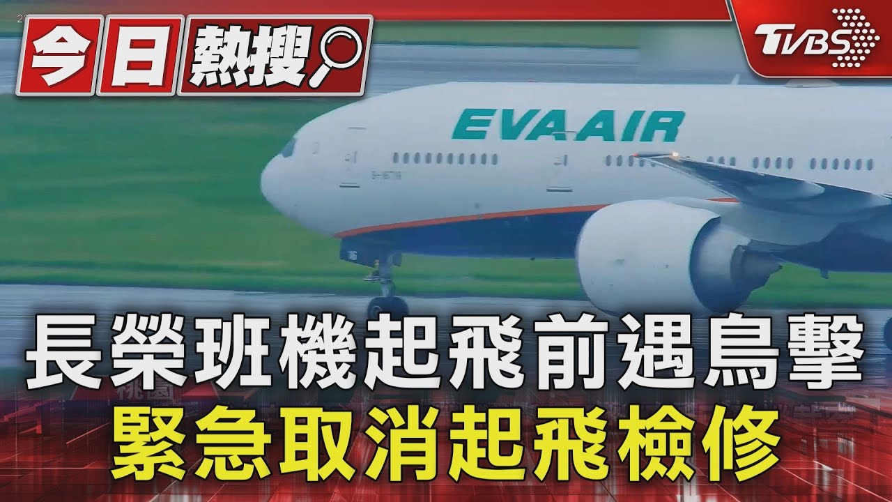 長榮客機起飛前「遭鳥擊」緊急取消! 桃機工作人員清理鳥屍