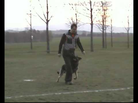 Mick & Jozsef Verebes.wmv