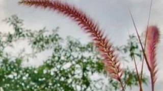 Add to the Beauty - Sara Groves