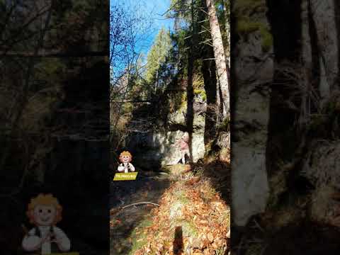 💧 Tărâmul apelor minerale🌲 | Băile Chirui / Kiruj Fürdő