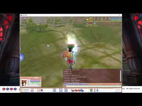 180505 FlyFF Iblis v15 - Vagrant Master 2