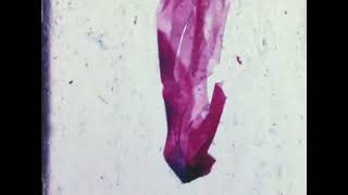Music video thumbnail preview for Codespeaker - Usud (Official Video) by Codespeaker