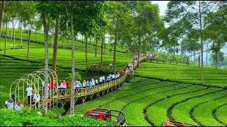 [問題] 在公司被黑掉的解法