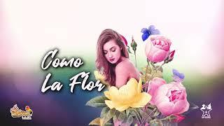 Como la Flor Music Video