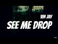 Vin jay - See Me Drop (Lyrics)