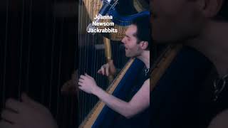 jackrabbits by Joanna Newsom #joannanewsom #joannanewsomtok #indiefolk #harp #pedalharp #harpist