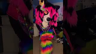 all my fursuits!! (updated bc ang3l) #furry #antizoo #fursuit #furries #fursona #scene #therian