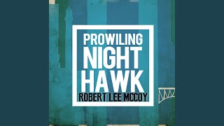 Prowling Nighthawk
