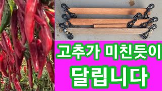 이거 만들면 고추가 미친듯이 달립니다~고추줄,끈치는방법 고추줄매기,띄우기,결속기