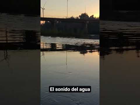 El sonido del agua en Rio Renaico #jardinkawaii #nature