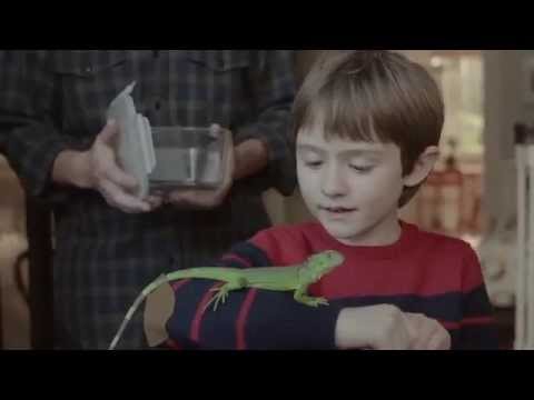 HP’s Lost Iguana Commercial-What Do You Think?